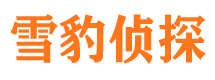 开县侦探公司